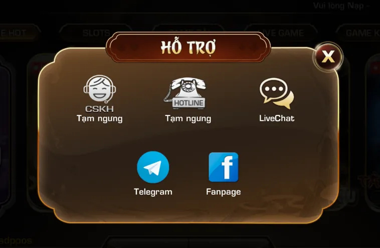 Đội Ngũ Hỗ Trợ Đa Kênh Sẵn Sàng Tư Vấn 24/7